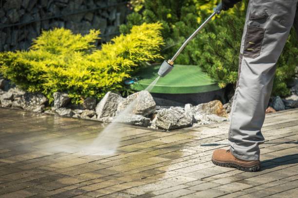 Best Pre-Holiday Cleaning  in Bacliff, TX